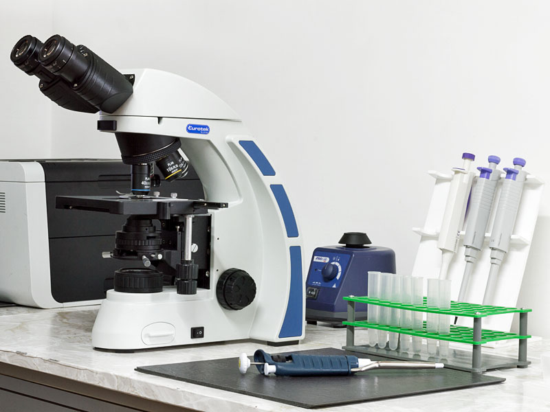Laboratorio Gamma